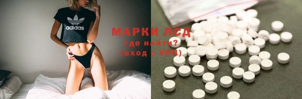 ПСИЛОЦИБИНОВЫЕ ГРИБЫ Алзамай