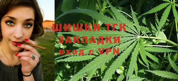 ПСИЛОЦИБИНОВЫЕ ГРИБЫ Алзамай